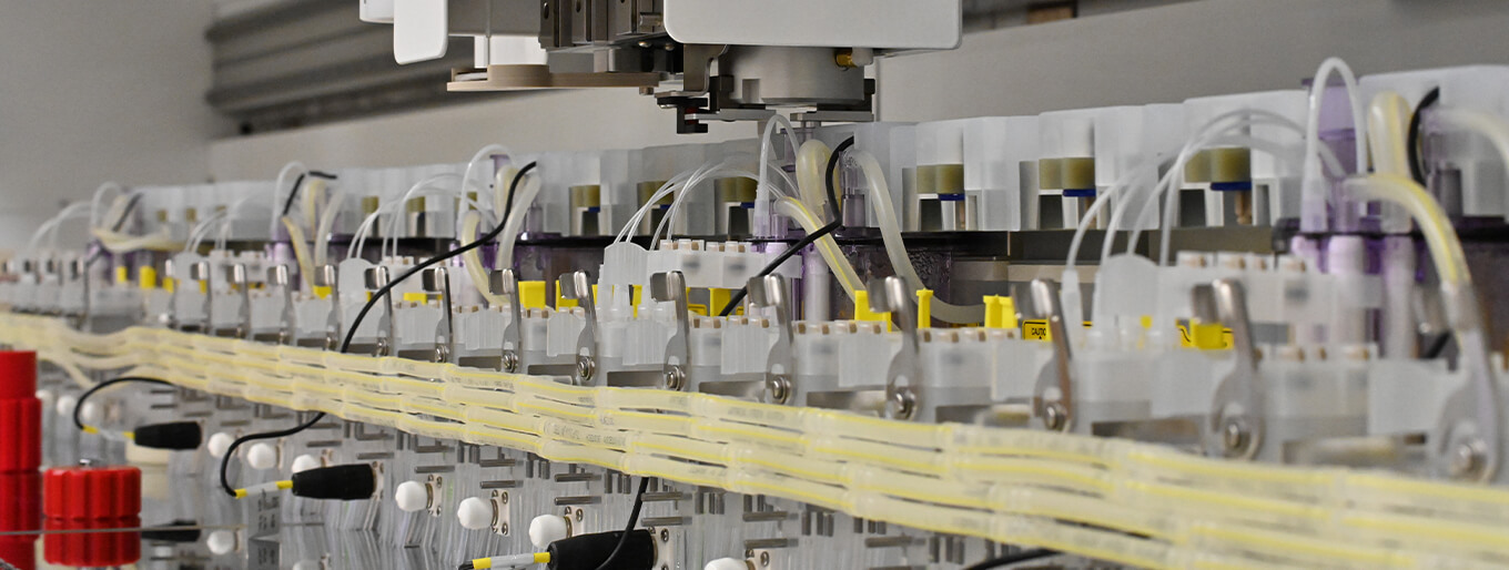 Image of Process Characterization