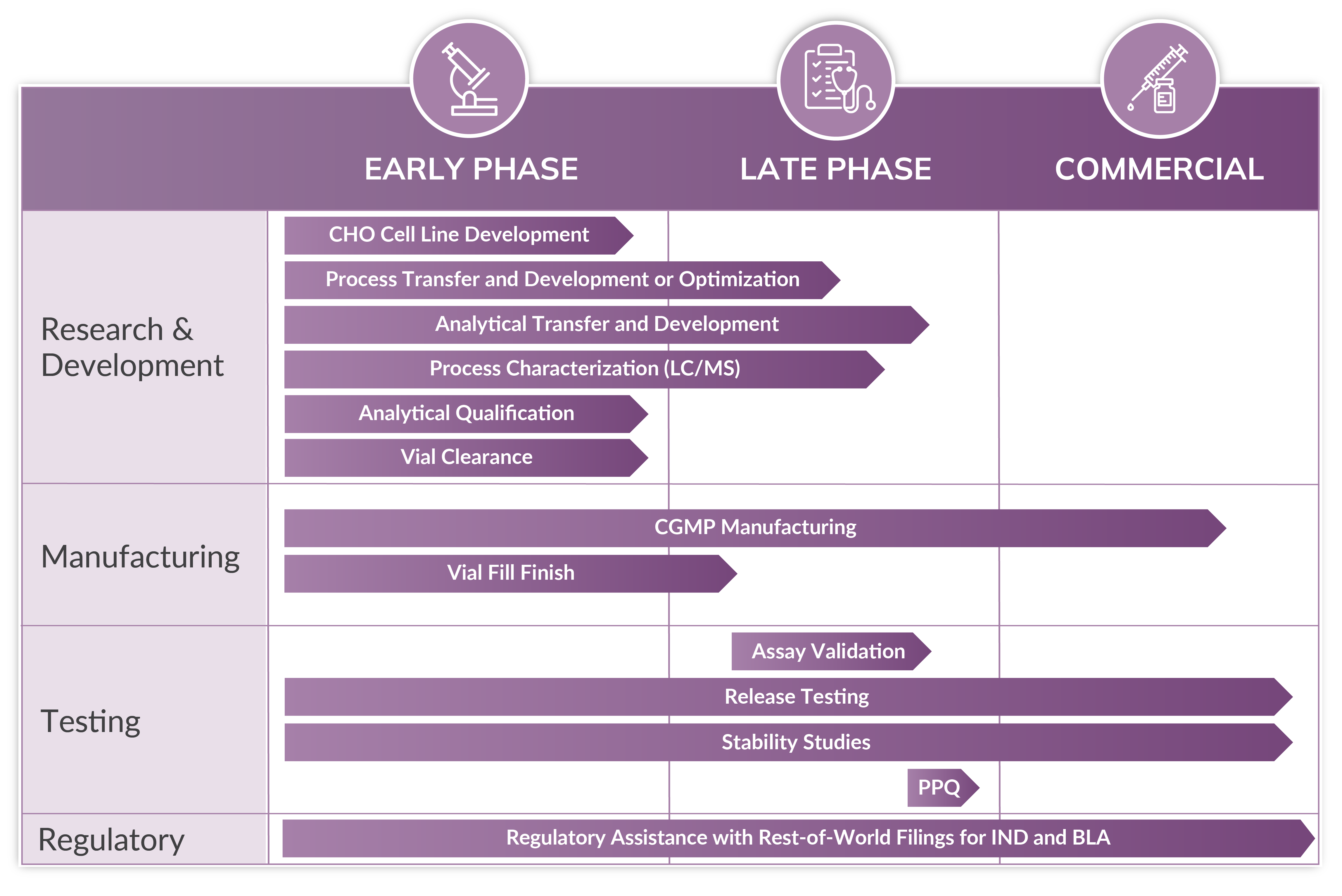 Cytovance's mammalian CDMO services across the drug product lifecycle.