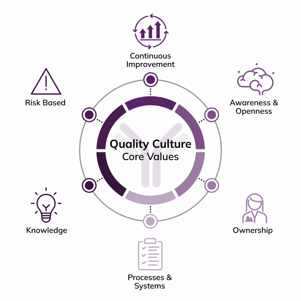 CYT Quality Culture Graphic
